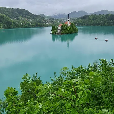 Number 10 Apartamento Bled